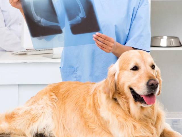 Radyoloji (Röntgen)